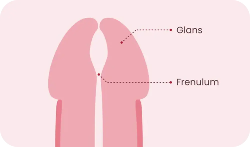 Promescent Ejaculation Delay Spray - How it Works - Apply Where Needed