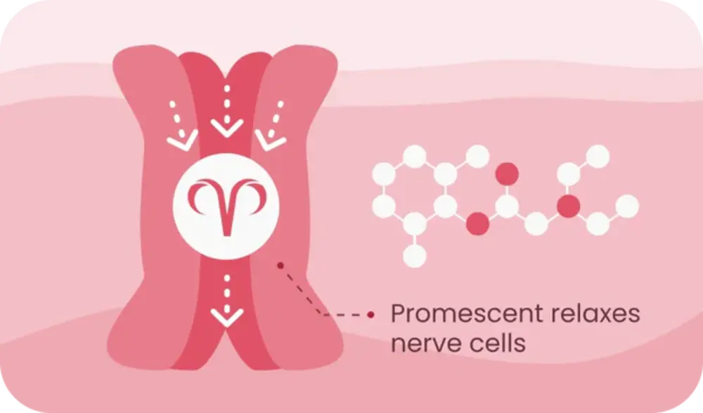 Promescent Ejaculation Delay Spray - How it Works - Spray Relaxes Nerve Cells