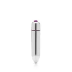 Tantus Echo Soft Ribbed Vibrating Dildo Powered by Bullet Vibrator