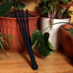 Tantus Tawse It Overboard Silicone Paddle + Dildo