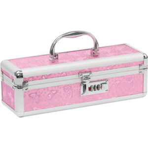 BMS Factory Medium Lockable Sex Toy Storage Box - Pink