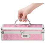 BMS Factory Medium Lockable Sex Toy Storage Box - Pink