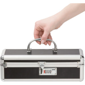 BMS Factory Medium Lockable Sex Toy Storage Box - Black