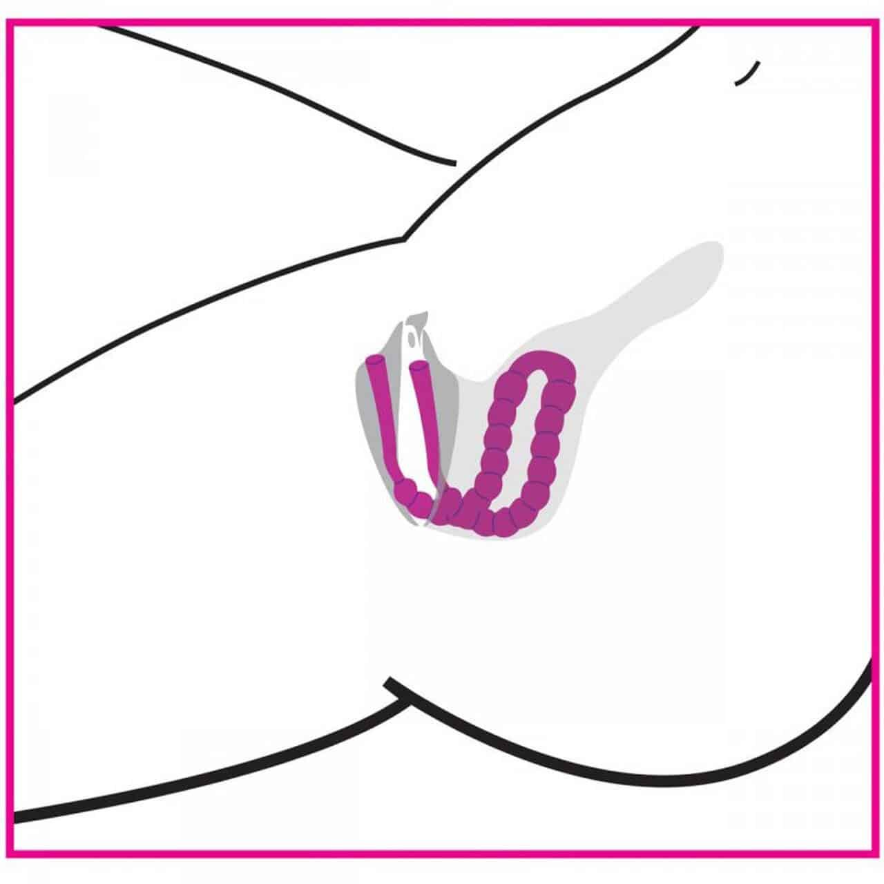 Frisky Petal Pusher Silicone Labia Spreader Pussy Spreader