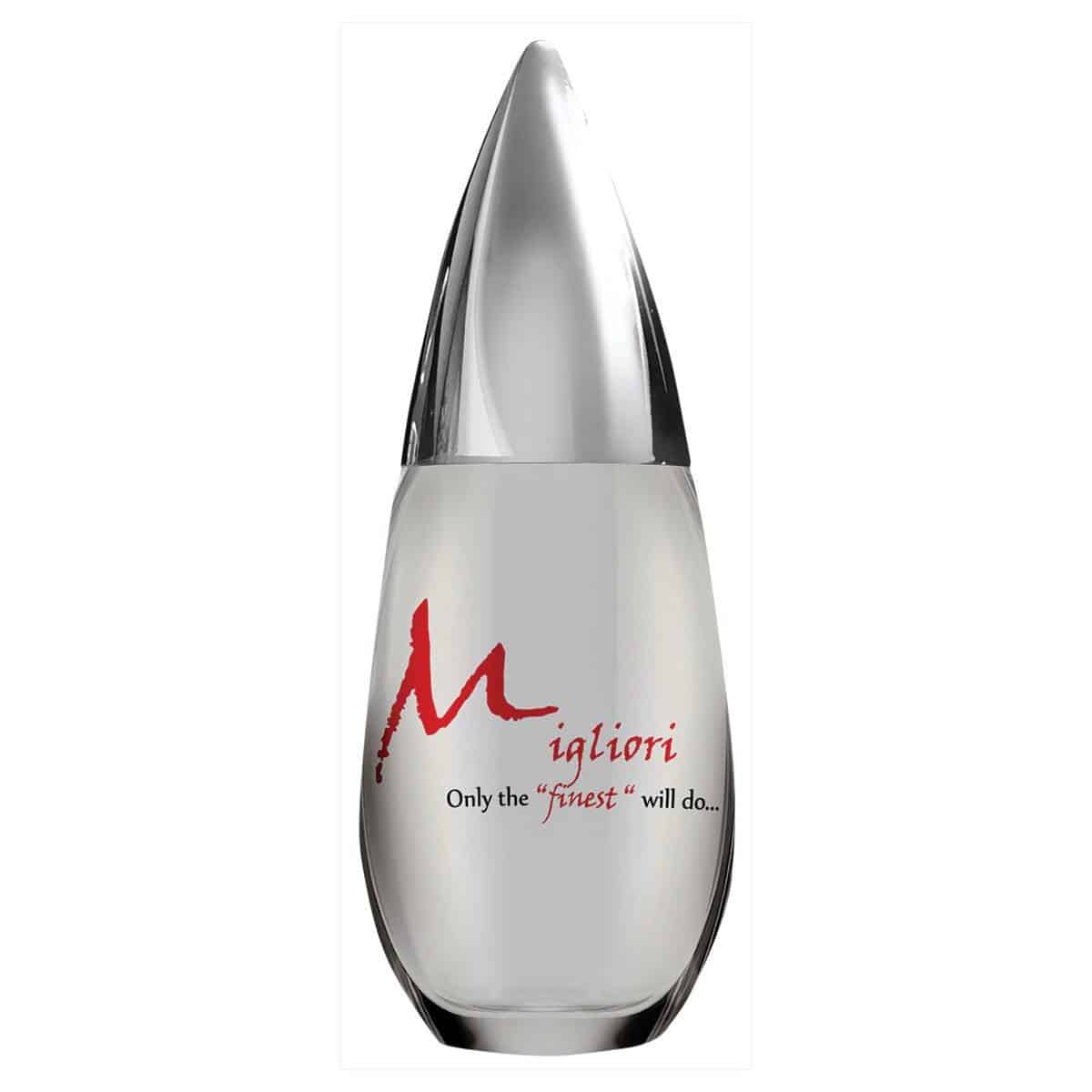 Migliori Silicone Lubricant