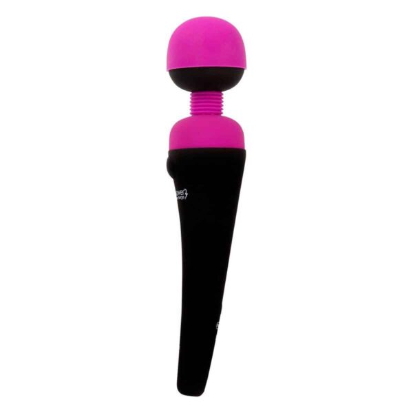 PalmPower Wand Massager