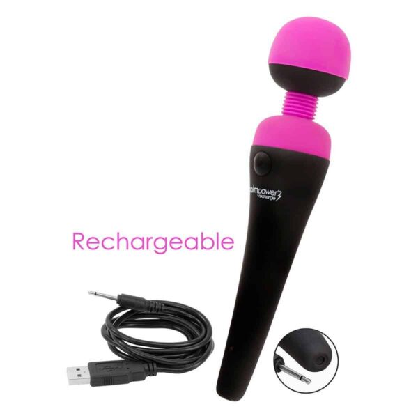 PalmPower Wand Massager