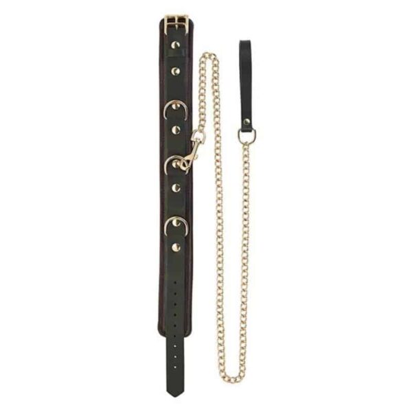 Spartacus Collar and Leash