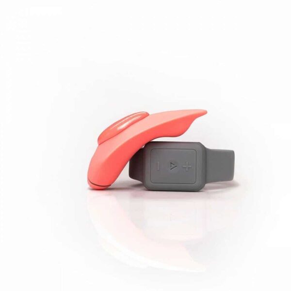 Clandestine Devices Companion Wearable Vibrator