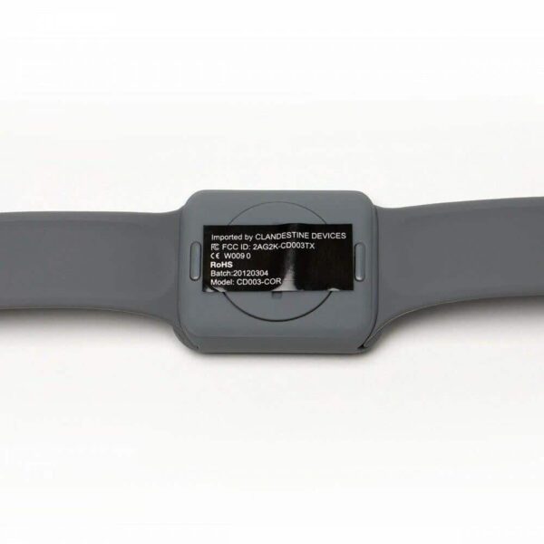Clandestine Devices Companion Wearable Vibrator