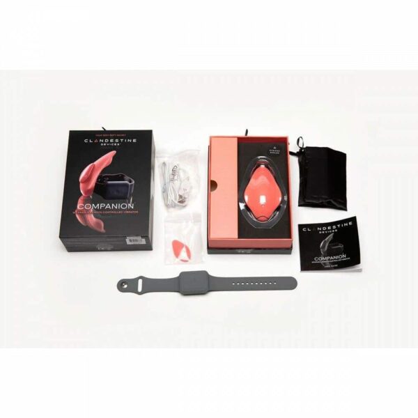 Clandestine Devices Companion Wearable Vibrator