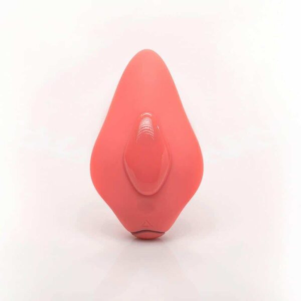 Clandestine Devices Companion Wearable Vibrator