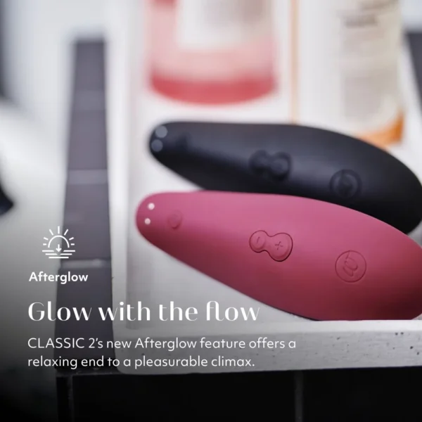 Womanizer Classic 2 Clitoris Sucking Vibrator - Bordeaux