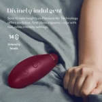 Womanizer Premium 2 Clitoral Vibrator - Bordeaux