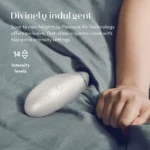 Womanizer Premium 2 Clitoral Vibrator - Warm Gray