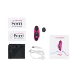 Lovense Ferri Wearable Panty Vibrator