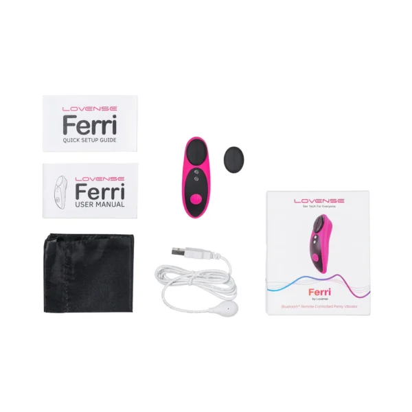 Lovense Ferri Wearable Panty Vibrator