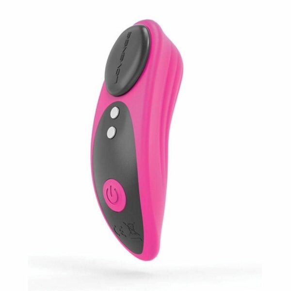 Lovense Ferri Panty Vibrator