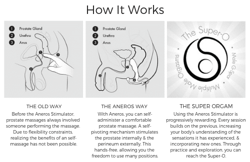 how-it-works-the-aneros-prostate-massagers.png