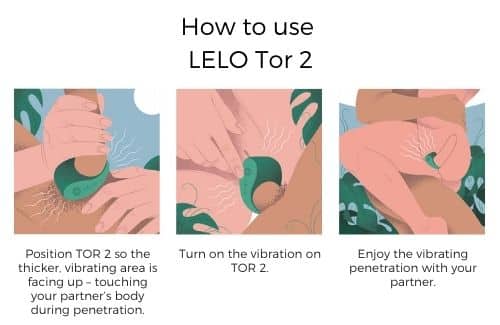 how-to-use-the-lelo-tor-2-luxury-cock-ring.jpeg