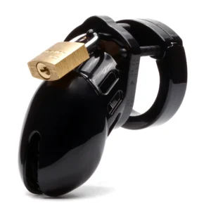 Black CB-6000S 2.5-inch Chastity Cock Cage Kit