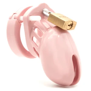 Pink CB-6000S 2.5-inch Chastity Cock Cage Kit