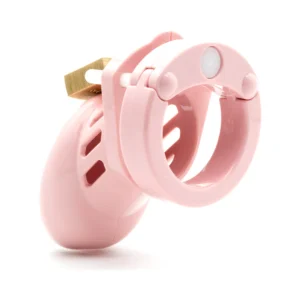 Pink CB-6000S 2.5-inch Chastity Cock Cage Kit