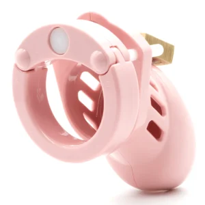 Pink CB-6000S 2.5-inch Chastity Cock Cage Kit
