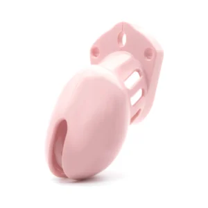 Pink CB-6000S 2.5-inch Chastity Cock Cage Kit