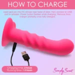 Curve Toys Simply Sweet Pink 21X Ribbed Vibrating Remote Controlled Dildo - How to Charge