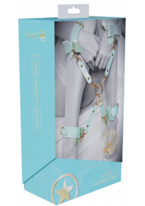Shots Ouch! Paris Collection Hogtie - Teal