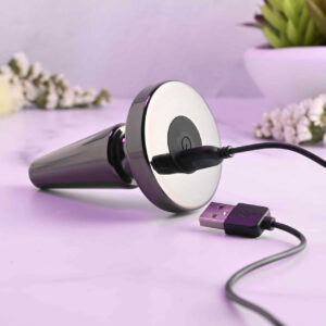 Evolved Novelties Beginner Metal Vibrating Butt Plug