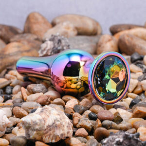 Evolved Novelties Rainbow Metal Butt Plug - Large