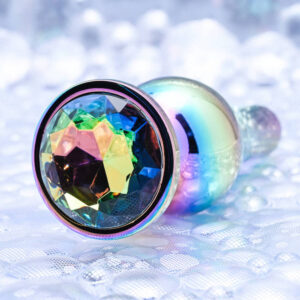 Evolved Novelties Rainbow Metal Butt Plug - Large