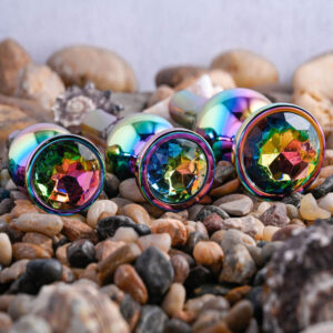 Evolved Novelties Rainbow Metal Butt Plug Set