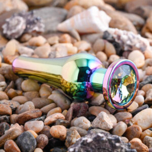 Evolved Novelties Rainbow Metal Butt Plug - Small