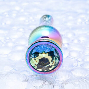 Evolved Novelties Rainbow Metal Butt Plug - Small