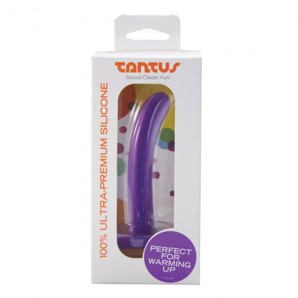 Tantus Silk Dildo - Small - Purple