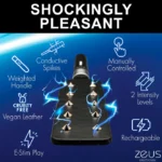 Zeus Electrosex e-Stim Spiked Paddle - Shockingly Pleasant