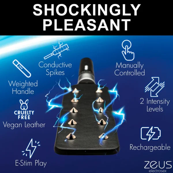 Zeus Electrosex e-Stim Spiked Paddle - Shockingly Pleasant