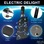 Zeus Electrosex e-Stim Spiked Paddle - Electric Delight