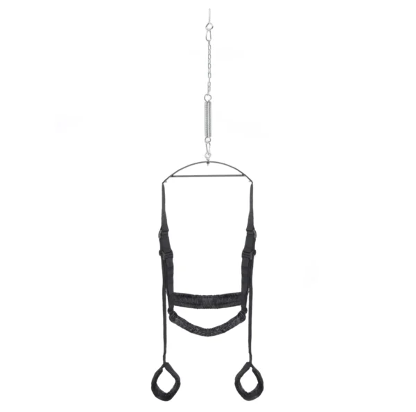 Fetish Fantasy Series - Fantasy Swing Sex Swing