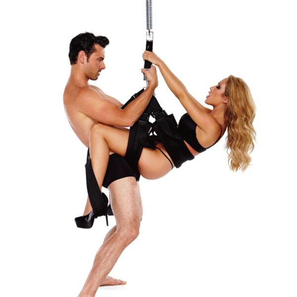 WhipSmart Pleasure Swing Sex Swing-2 WhipSmart Pleasure Swing Sex Swing
