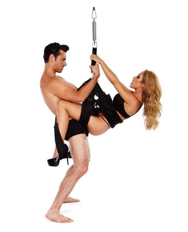 WhipSmart Pleasure Swing Sex Swing