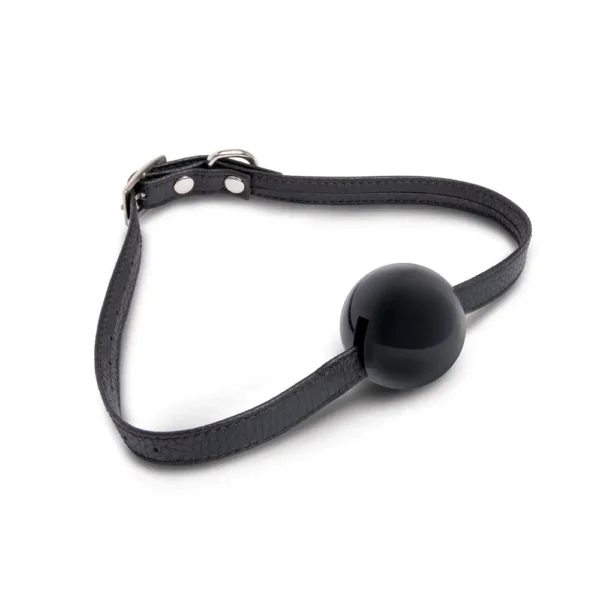 Lux Fetish 7PC Hogtie & Ball Gag Kit