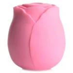 XR Brands Bloomgasm | The Rose Lover's Gift Box - Pink