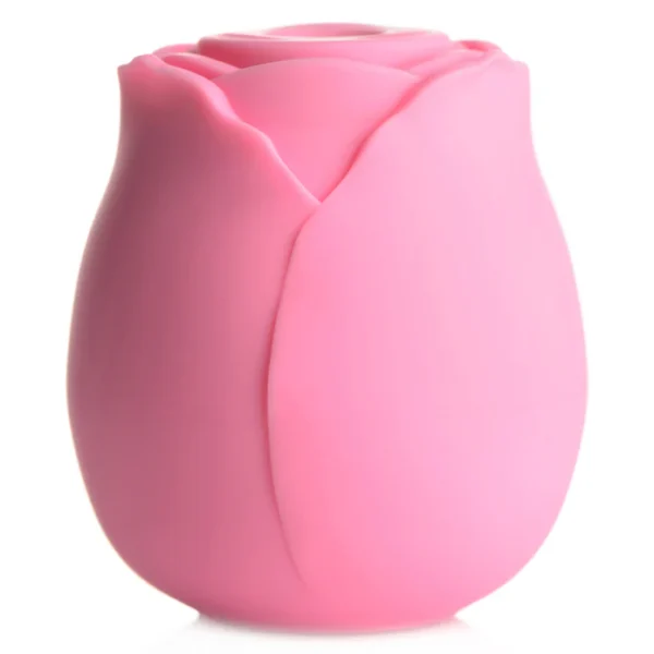 XR Brands Bloomgasm | The Rose Lover's Gift Box - Pink