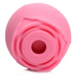 XR Brands Bloomgasm | The Rose Lover's Gift Box - Pink