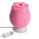 XR Brands Bloomgasm | The Rose Lover's Gift Box - Pink