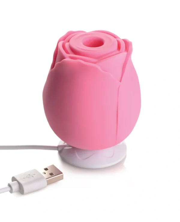 XR Brands Bloomgasm | The Rose Lover's Gift Box - Pink